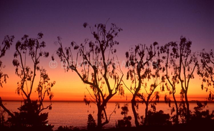 Islands;Sunsets;Sky;cayman island;sun;yellow;palm trees;sillouettes;colorful